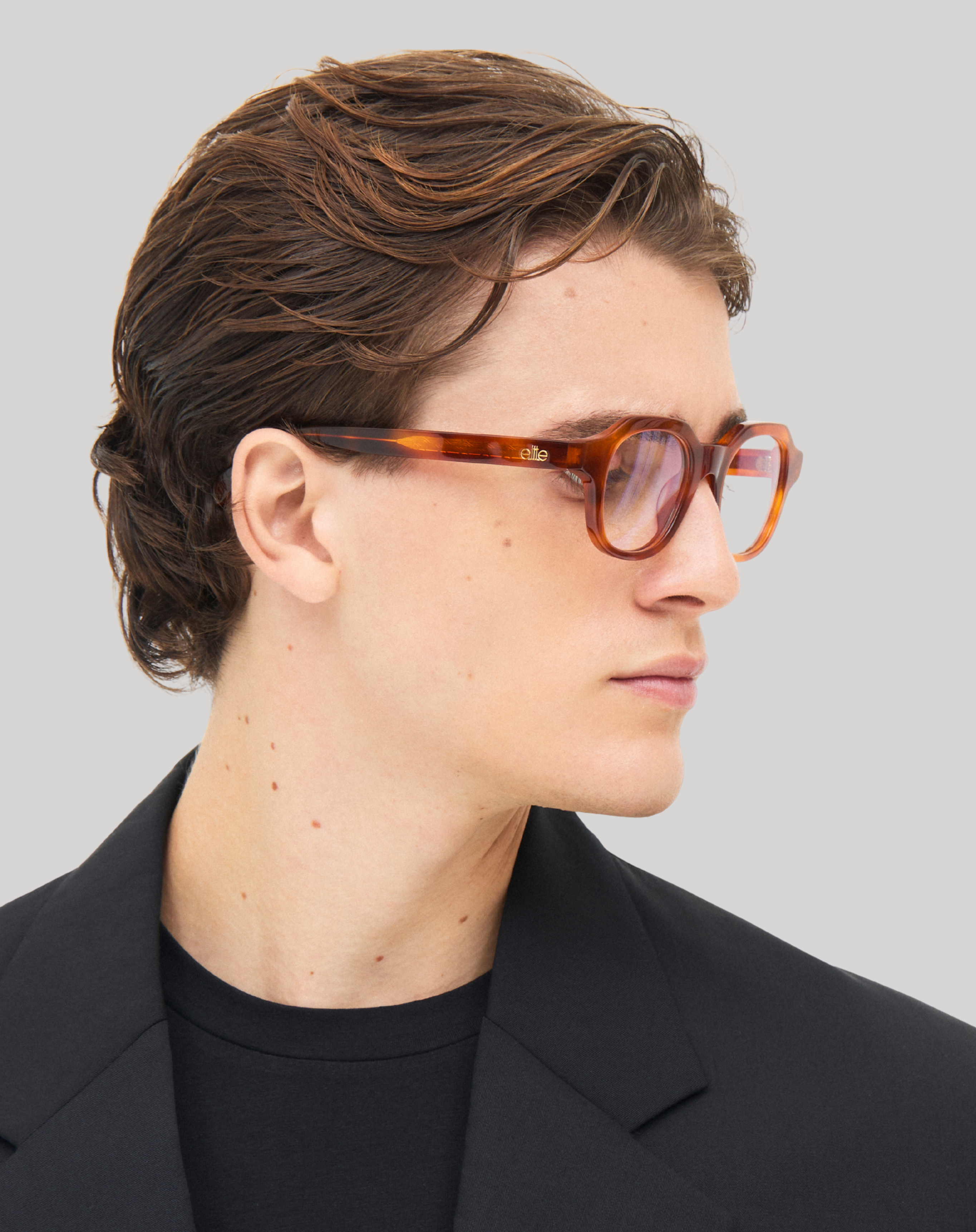 Brando#Color_Montatura Havana chiara